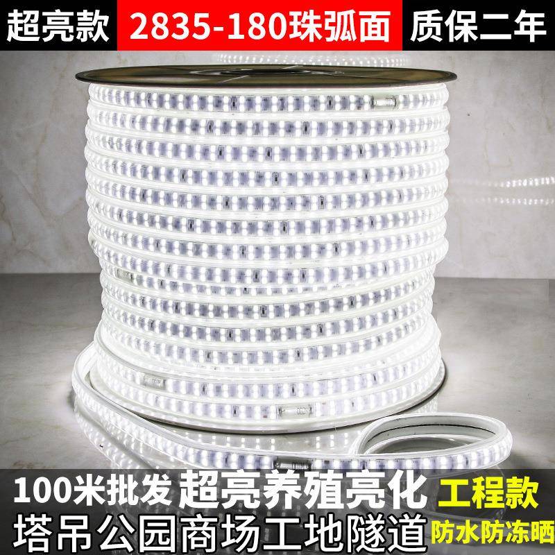 220Vled灯带白光户外防水工程127V养殖塔吊工地24V36V地下室