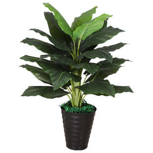 假绿植万年青仿真植物客厅室内落地花大盆栽景塑料装饰树摆件假花