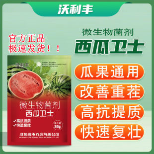 沃利丰西瓜卫士西瓜病菌清微生物菌剂瓜果通用改善重茬快速复壮