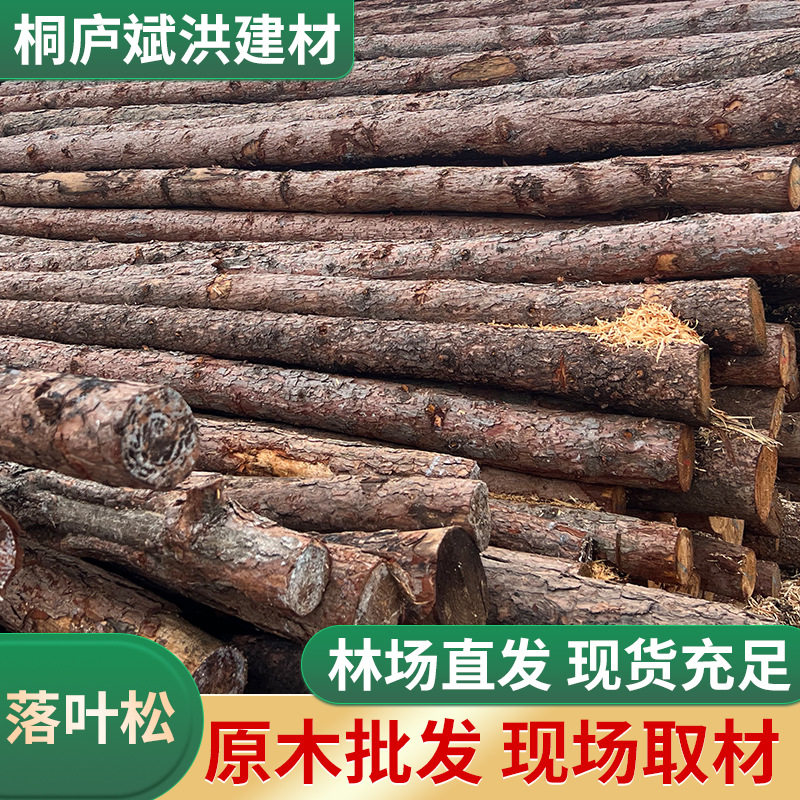 落叶松原木打桩木工地桥梁加固