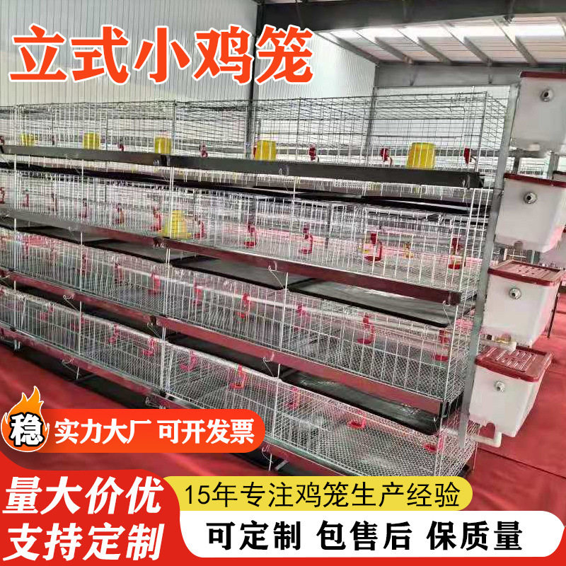 育雏鸡笼养殖场专用雏鸡笼立式养殖小鸡一体式家用出壳鸡苗笼鸡笼