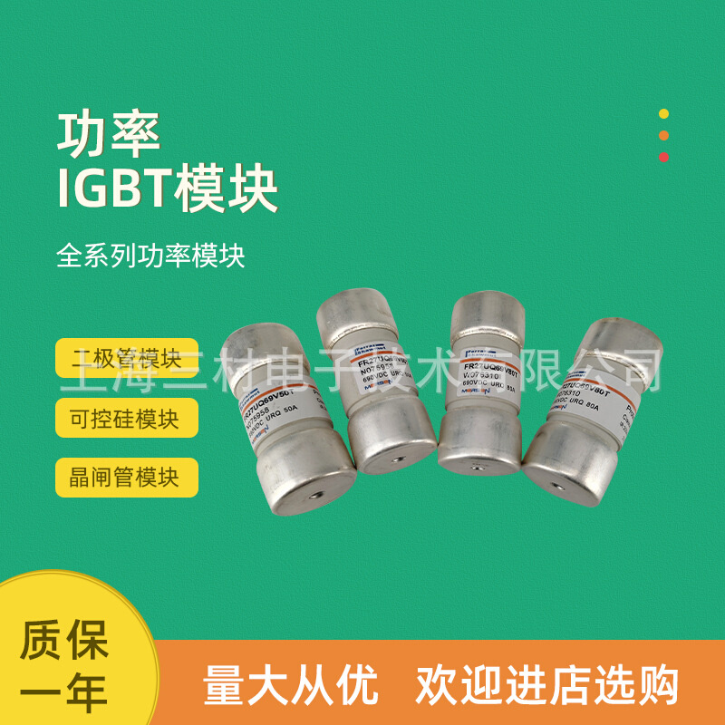 全新熔断器保险丝FR22GR69V12T/W1018620 FR22GR69V16T/X1018621