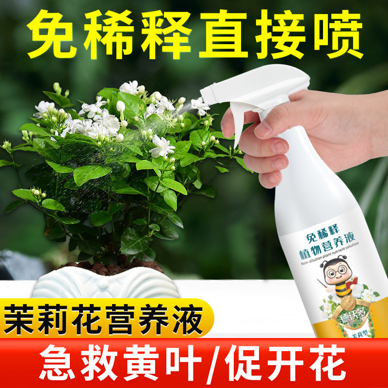速发免稀释茉莉花肥料专用肥酸性家花养花通栽茉莉栀子用营养液盆