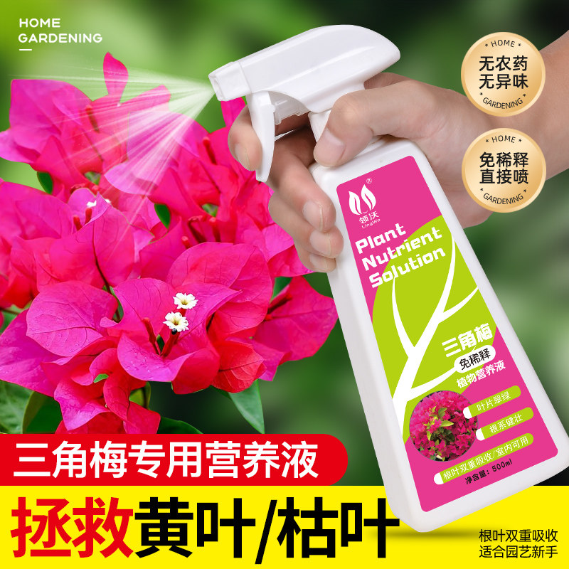 速发免稀释三角梅肥料专用肥植盆营养液梅养家用物栽花卉花花促开