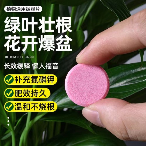 速发植物营养片肥用型家庭园艺花释通养缓肥料家用盆栽通用花卉果