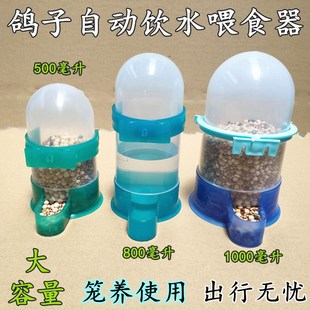 速发鸽子用品用具饮水器水壶信鸽自动喂食具食哥鸽器八槽鸟用防撒