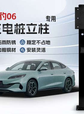 【镀锌】比亚迪海豹06/GT专用充电桩立柱支架保护箱新能源汽车
