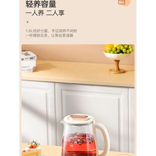 龙氏Ld-Ys1823健康壶大容量水壶泡茶机茶水壶办公室电水壶花茶