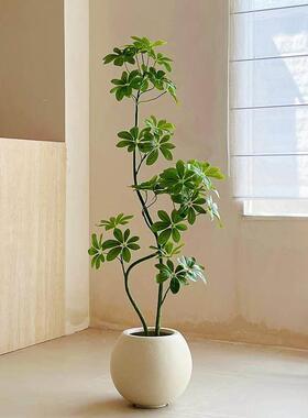 高端落轻奢彷PSX真绿植物厅鸭脚木高级感室内客地摆件装饰彷色生