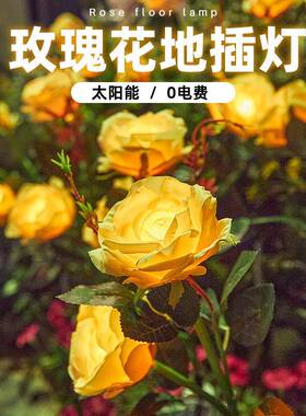 玫瑰花串串表浪漫布置网红满白天星星灯EXW彩户灯外太阳能灯闪灯