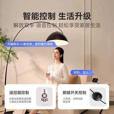 光氛厅谱钓鱼灯落地灯卧室42420地毯围全灯客极简网红立式落地台