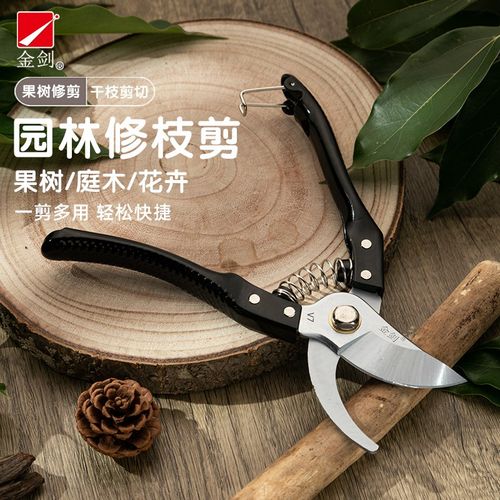 金剑家用园艺剪刀果树修枝修剪花艺枝剪子剪枝园林工具专用花剪