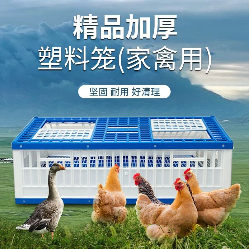 热销鸡笼塑料周转箱成鸡鸭鹅运输C筐加厚大码鸡笼鸡鸭鹅鸽笼周转