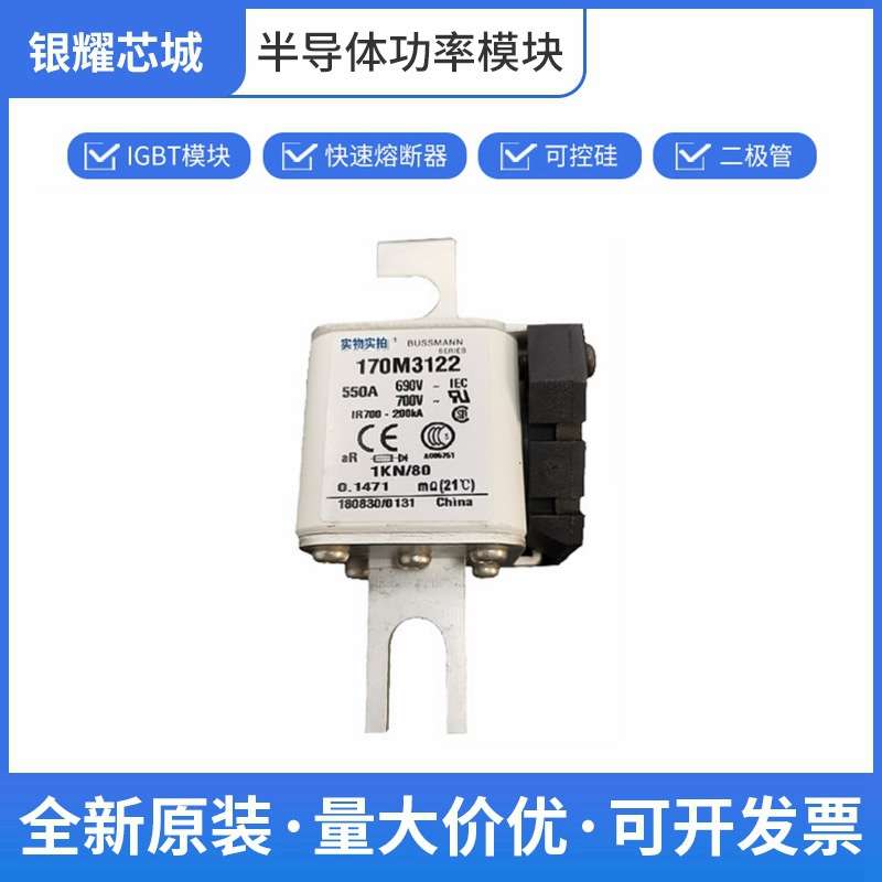 170M3122框架式熔断器 保险丝 巴斯曼 数量充足批次22+