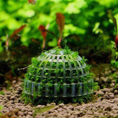 Plastic Aquarium Moss Ball Filter Aquatic Pet Supplies