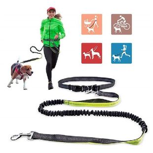 1.2-1.9M Retractable Dog Leash Adjustable Belt for Running
