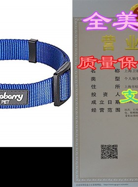 Blueberry Pet Classic Solid Color Collection - Regular Colla