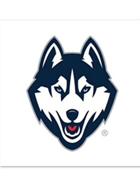 NCAA University of Connecticut UConn Huskies 4-Pack