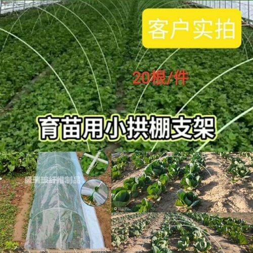 极速辽宁【玻璃纤维纤维小拱棚支架拱杆】蔬菜小拱棚支架保温棚架