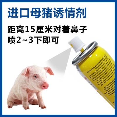 母猪诱情喷雾猪用人工受精器具提高受孕排卵猪发情促孕兽用诱情剂