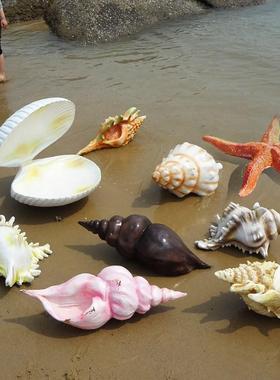 海螺海草珊瑚海星贝壳摆件户外玻璃纤维海洋系列雕塑水池社区装饰