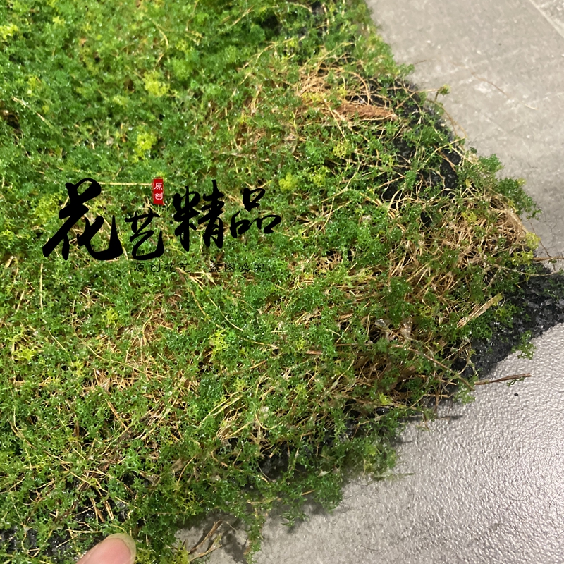苔藓片仿真苔藓块假山装饰毛石头堆青苔植绒山丘软装造景草皮草坪