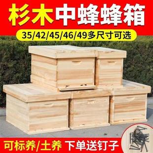 46广式 新品 蜂箱全套中土蜂诱蜂桶小蜜蜂箱养