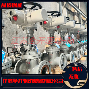 16C Z941H DN250蒸汽油路管道用 Z型硬密封电动闸阀 厂家直供