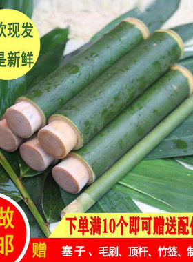 新鲜竹筒粽子模具家用竹桶饭蒸制作做的摆摊商用现专用糯米饭神器