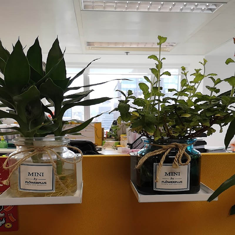 花架铁艺简约吊兰绿萝多肉花盆架办公屏风护栏隔板悬挂钩架子包邮