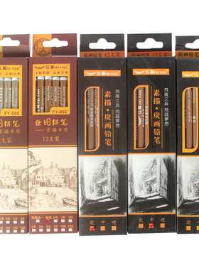 飞雁素描绘图铅笔2H-12B绘图铅笔硬中软碳笔特浓软碳碳墨合一炭笔