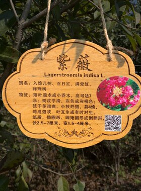 植树节树木挂牌花木介绍牌植物品名吊牌幼儿园认养防腐标识牌定制