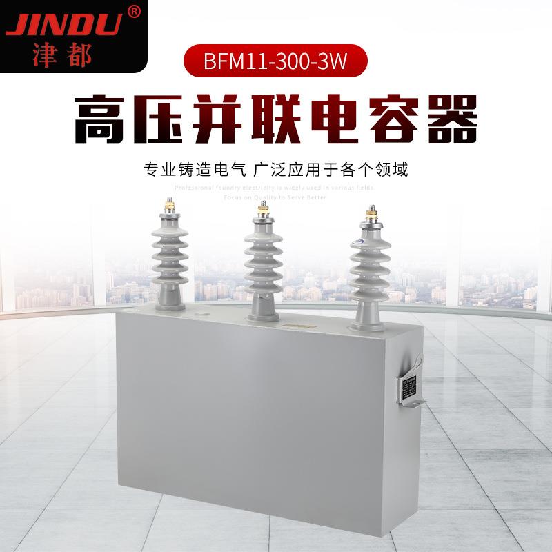 高压并联电容器BFM11-300-3W高压电力电容器户外电容器