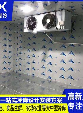 大型冷库全套设备水果蔬菜低温保鲜库风冷速冻库冷藏库冷冻库