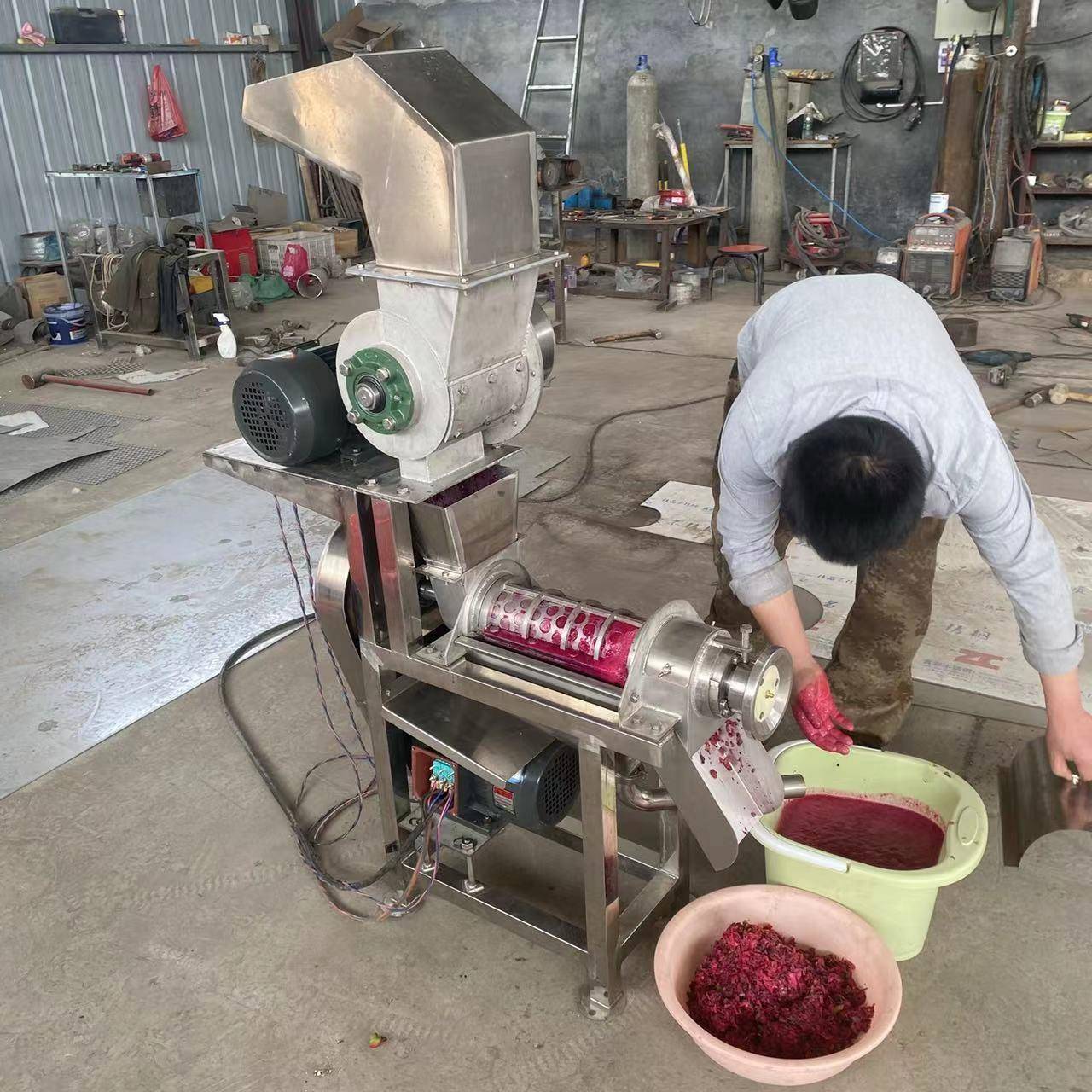鲁强牌一吨樱桃榨汁机不锈钢压榨机梨膏辅食专业设备原汁机
