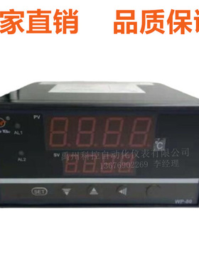 WP-D816-81-08-HL/WP-D809-02-23-H上润多路巡检仪温度巡检仪