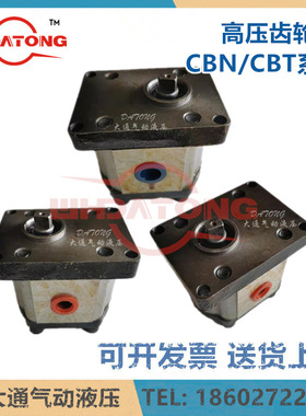 CBN-F310 G310 CBN-E310扁键轴 进出口螺纹4分3分 CBW-F310-CLB