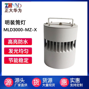 高铁地铁站火车站室内外筒灯30W40W50W60W80W100W120WLED明装筒灯