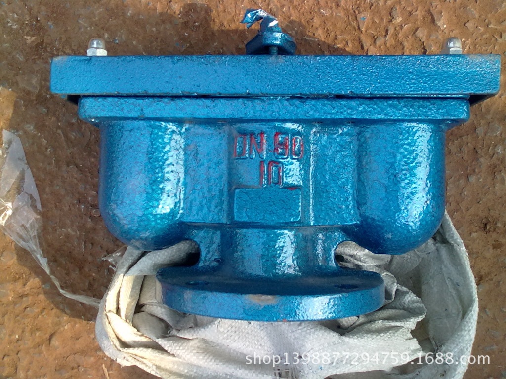 双口排气阀  法兰双口快速排气阀 QB2-10 DN80 厂家直销