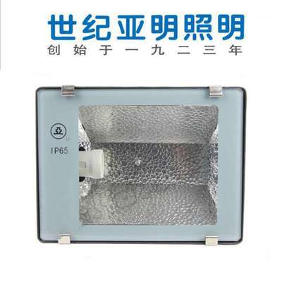 供应 上海亚明投光灯 zy73 单端 双端金卤灯70W 150W