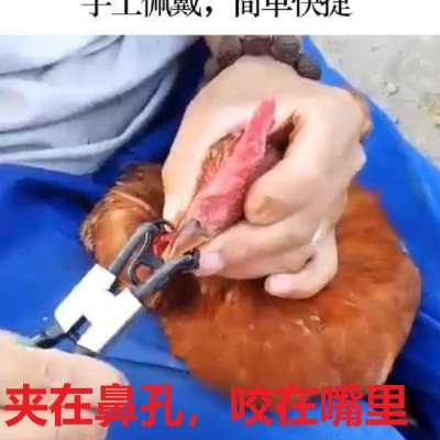 鸡嘴卡环鸡眼镜无栓鸡眼罩信科农业防鸡啄毛小号大号养殖山鸡防啄