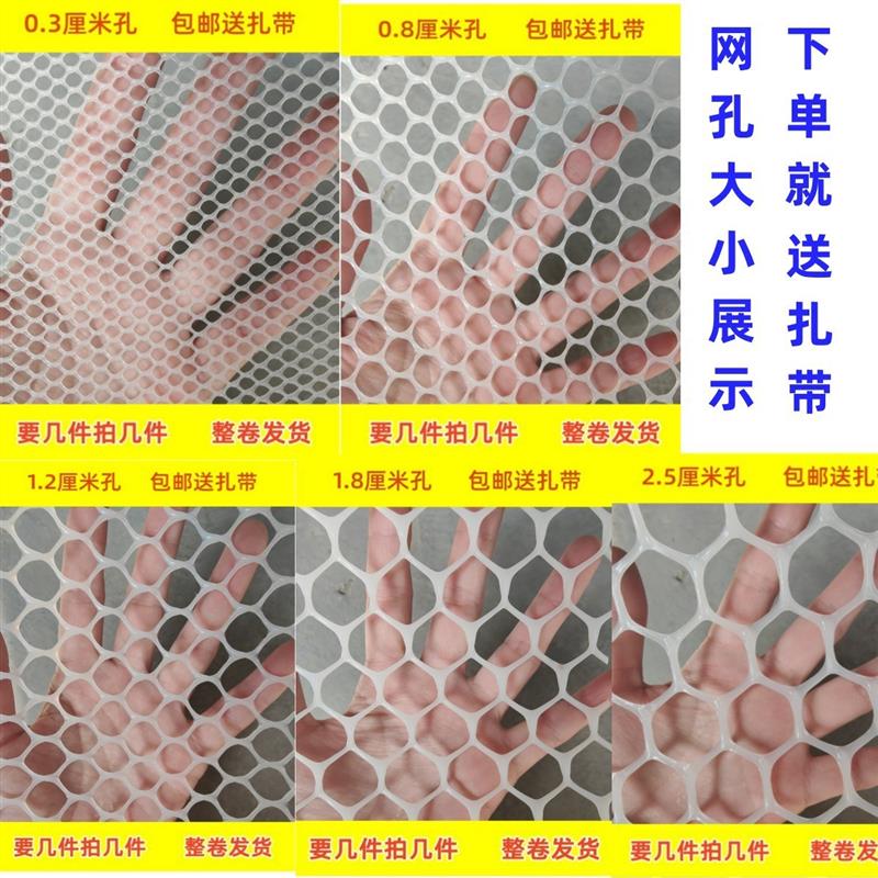 整卷塑料平网育雏网床鸡鸭鹅漏粪网垫脚网养蜂养蚕防护网围养殖网