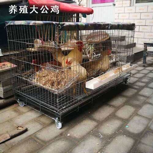 好货鸡笼子养殖笼鸡笼家用大号特大号加密养鹌鹑兔笼狗笼猫笼鸽子