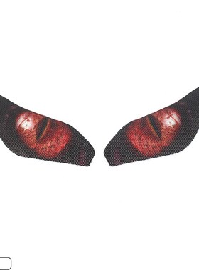 适用川崎大灯贴纸ninjia650versys650大灯贴膜地平线前灯装饰膜