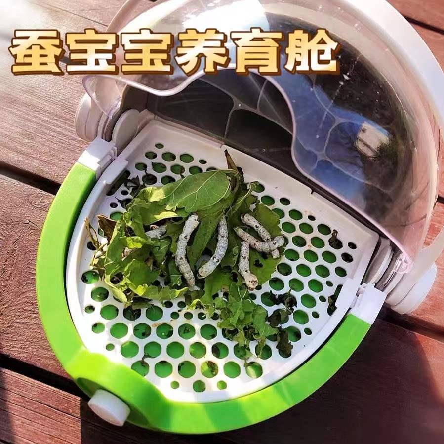 好货蚕宝宝别墅豪华小大号套装蚕宝宝太空舱养育仓饲养箱的窝屋观图片