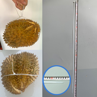 极速捆绑榴莲塑料扎带加长5 650宽度4.8mm捆110下水管代替捆榴莲
