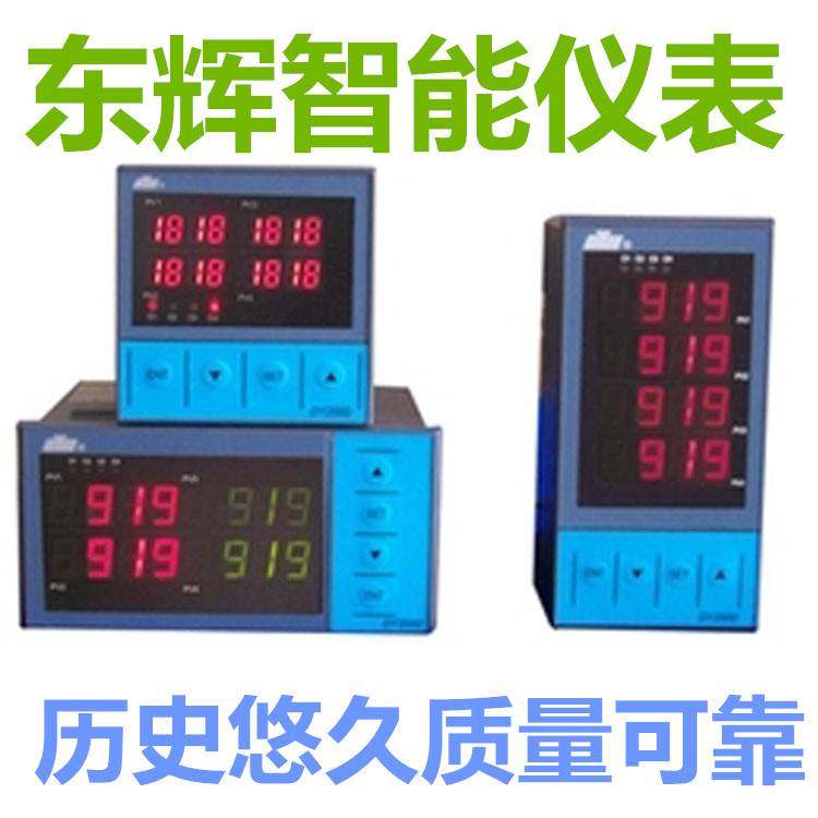 福建东辉大延智能仪表 DY21FE0P DY21FE1P DY22FE0P DY22FE1P4M