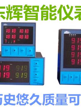 福建东辉大延智能仪表 DY21FE0P DY21FE1P DY22FE0P DY22FE1P4M