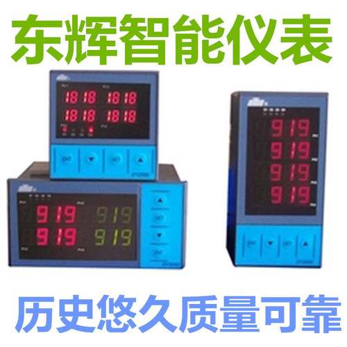 福建东辉大延智能仪表 DY21FE0P DY21FE1P DY22FE0P DY22FE1P4M