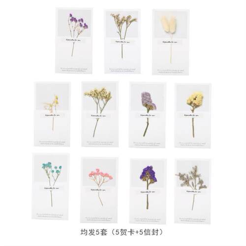 Simple Dried flower greeting cardE ins Wind birthday gift 52